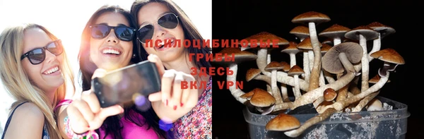 спайс Балабаново
