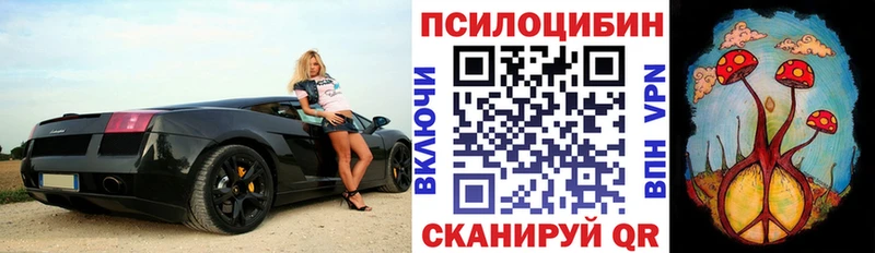 Псилоцибиновые грибы Magic Shrooms  купить наркотик  Олёкминск 